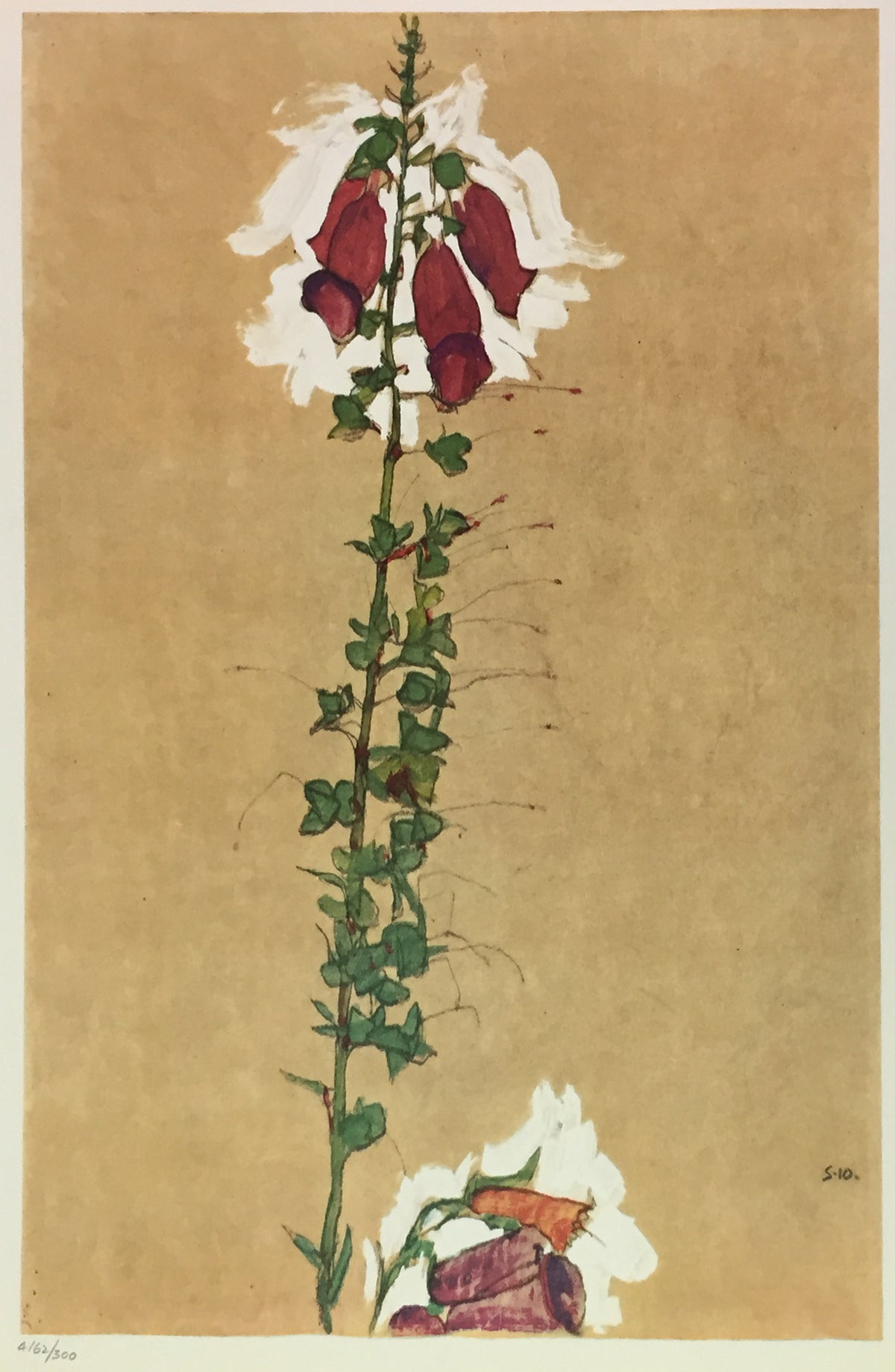 Egon Schiele - Red Foxglove