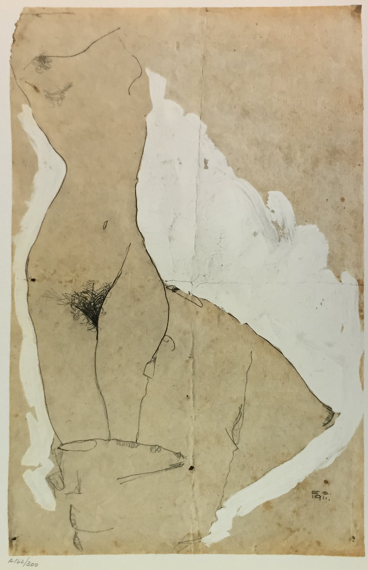Egon Schiele - Female Torso