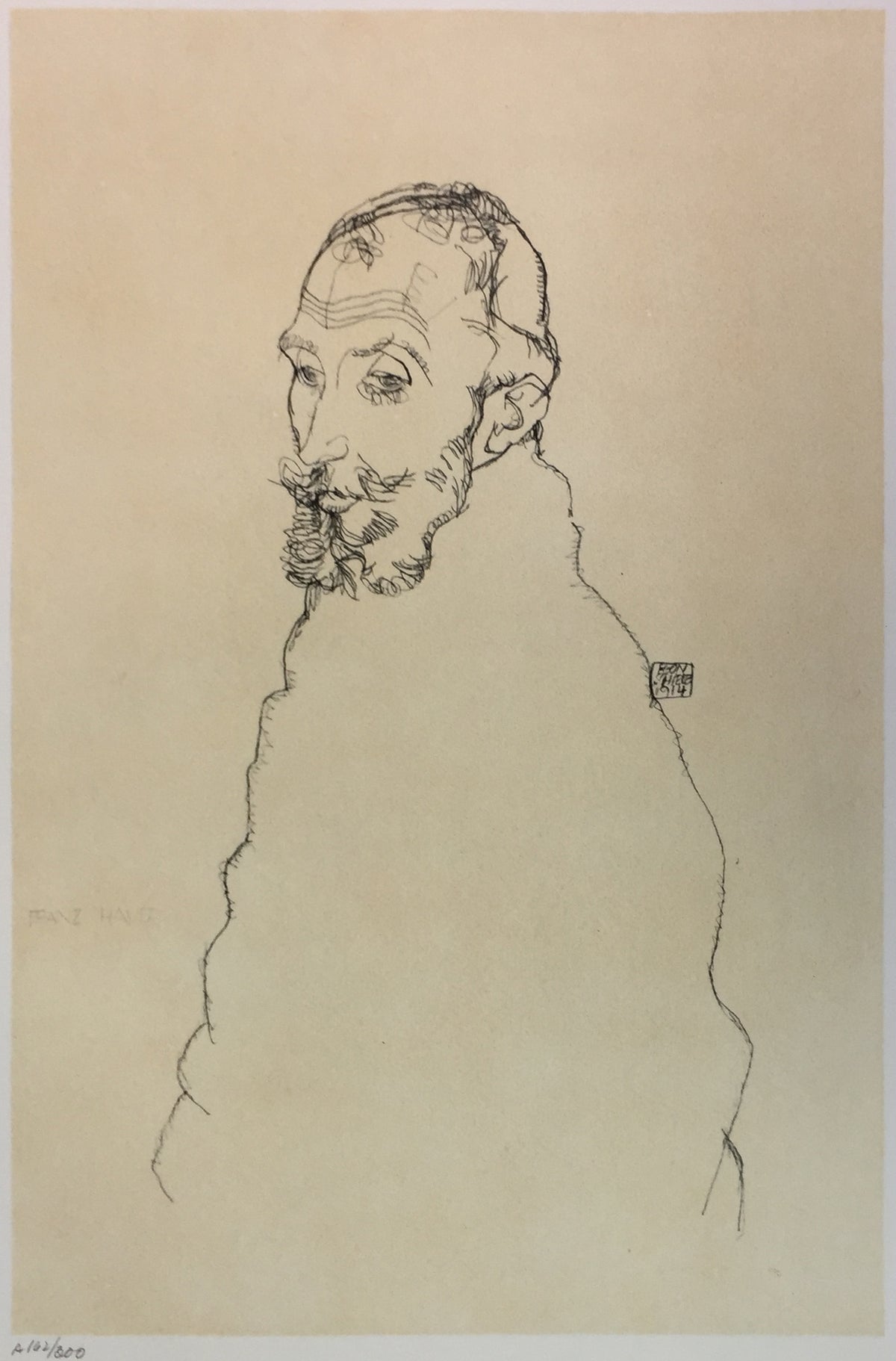 Egon Schiele - Portrait of Franz Hauer