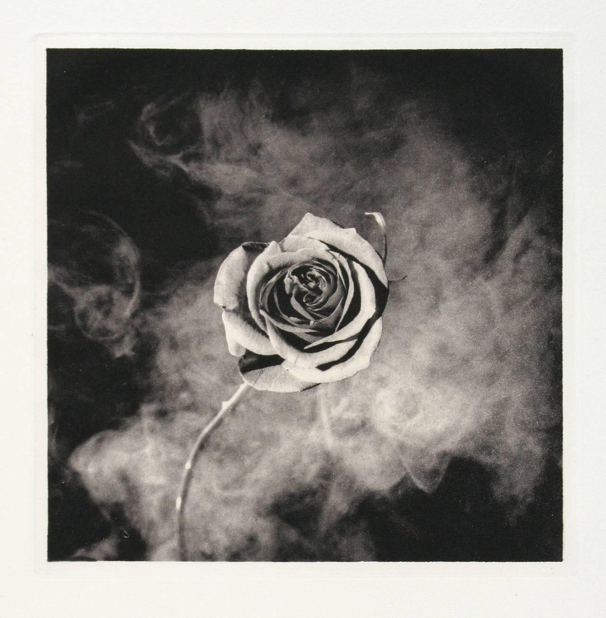 Robert Mapplethorpe - Untitled III from A Season in Hell