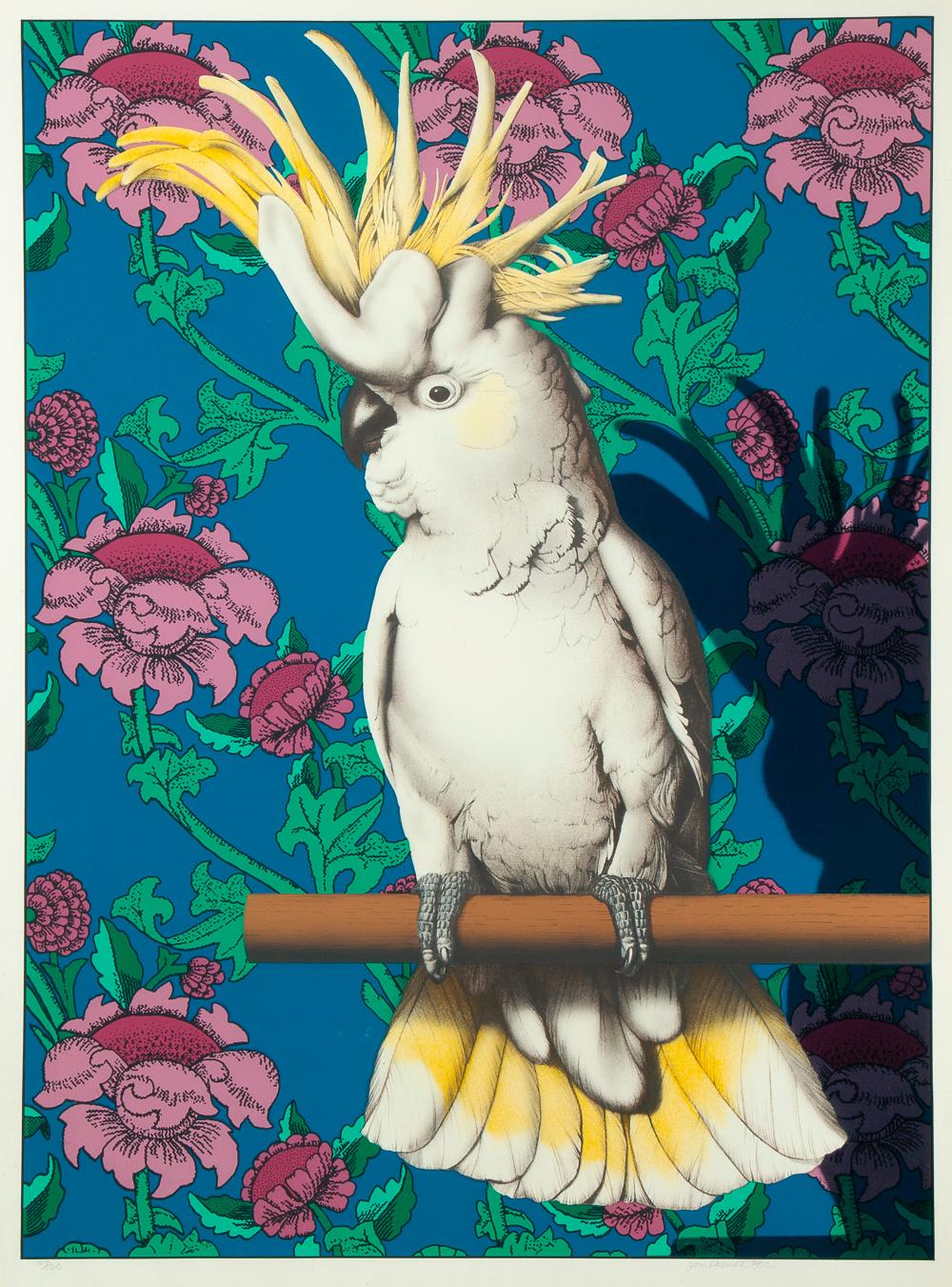 Tom Palmore - Cockatoo