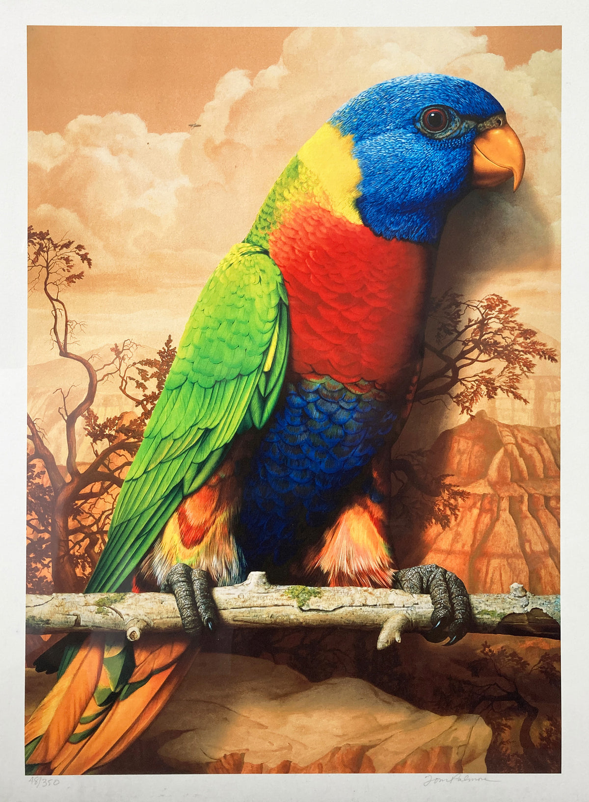 Tom Palmore - Parrot